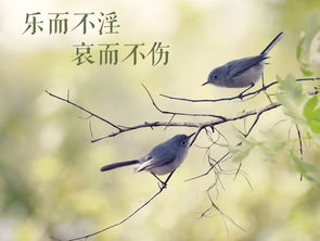 文藝創(chuàng)作 以“樂(lè)而不淫，哀而不傷”為尺度的美學(xué)追求